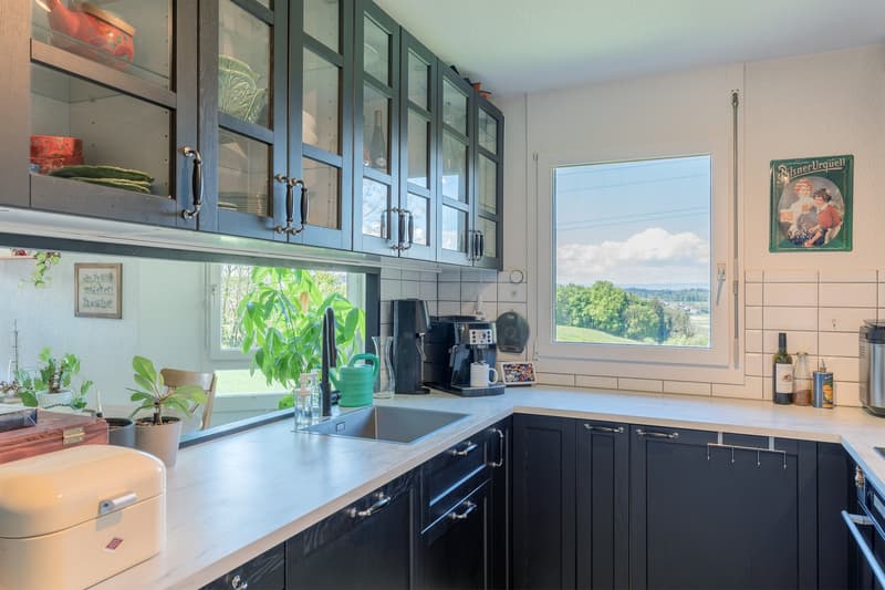 Spacious kitchen with large windows overlooking a scenic outdoor view, black cabinets with glass panels, stainless steel appliances, and a kitchen counter with a sink.