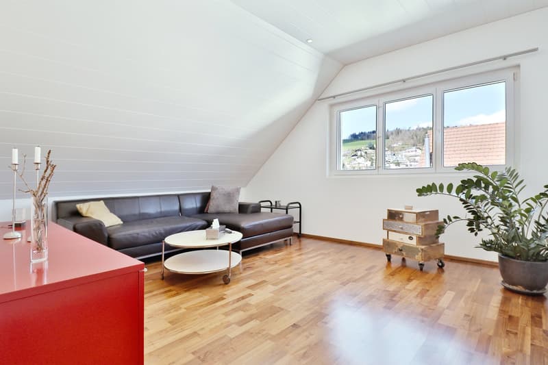 white walls, wooden floor, modern leather sofa, white coffee table, potted plant