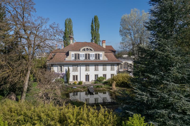 Large house with brown roof, white walls, multiple windows, surrounded by trees and plants, with a pond in front
