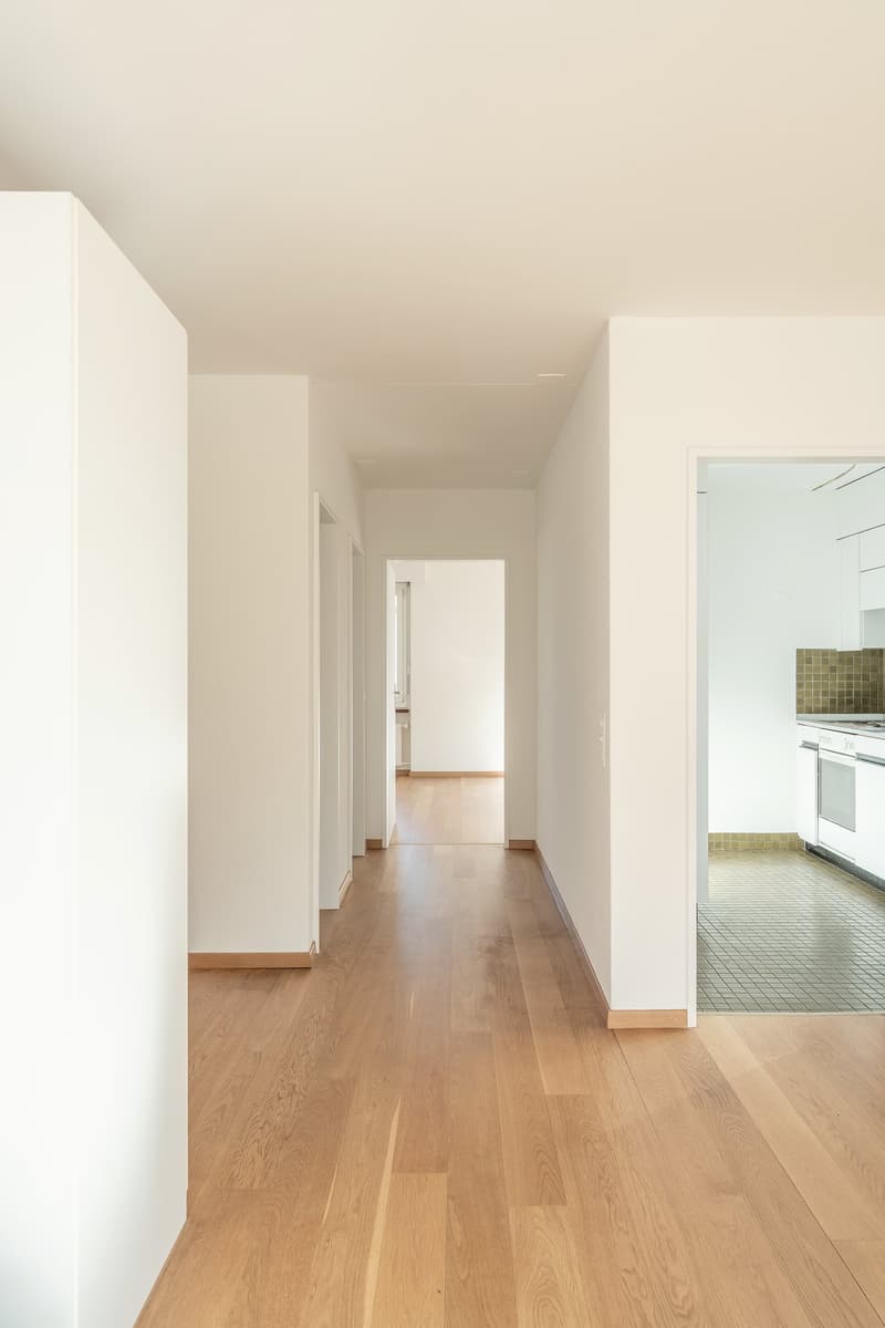 2.5 room apartment near the train station (9)