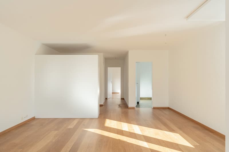 2.5 room apartment near the train station (7)