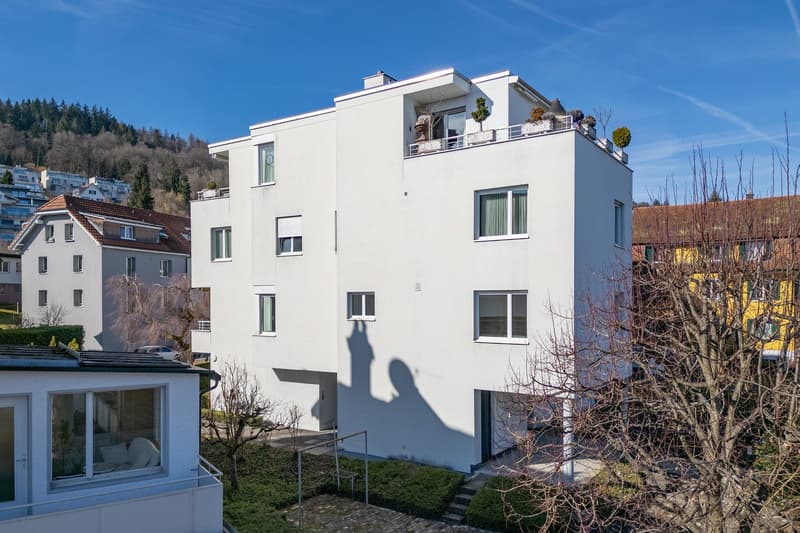 2.5 room apartment near the train station (2)