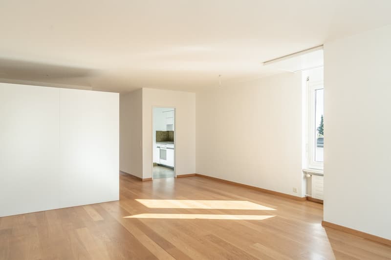 2.5 room apartment near the train station (6)
