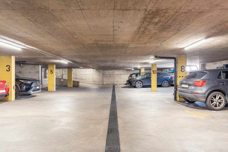 2.5 room apartment near the train station (15)
