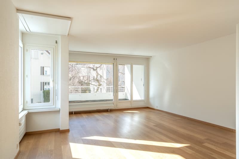2.5 room apartment near the train station (5)