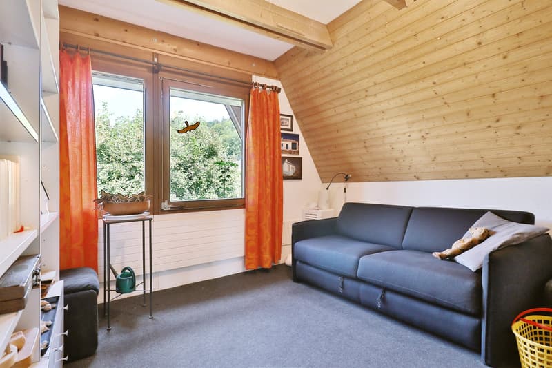 Large semi-detached house in a green environment (15)