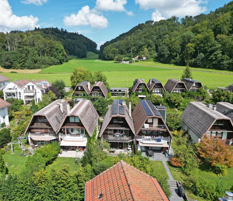 Large semi-detached house in a green environment (3)
