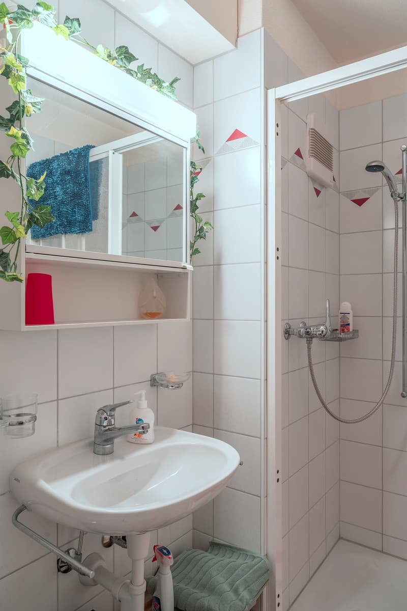 Kyburg-Buchegg: Charming Row House with Two Apartments (16)