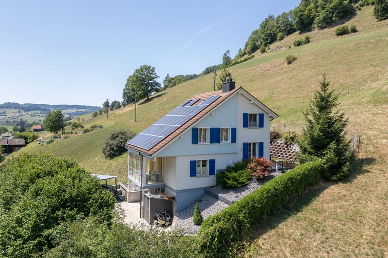 Freistehendes Einfamilienhaus mit Pool und viel Umschwung (3)