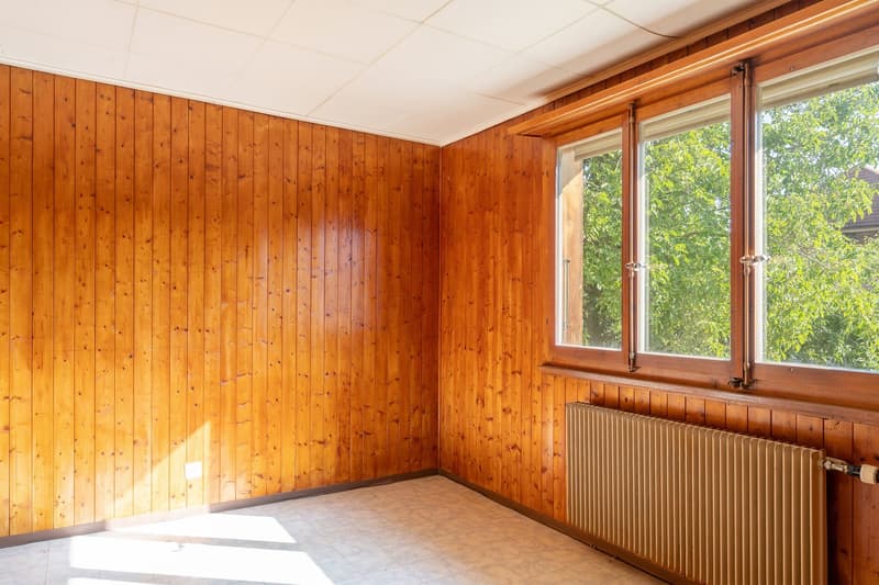 Wohnhaus mit grossem Gewerbe und viel Entwicklungspotenzial (11)