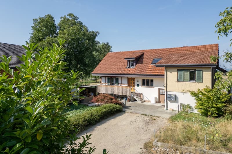 Wohnhaus mit grossem Gewerbe und viel Entwicklungspotenzial (2)