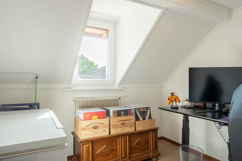 Wohnhaus mit grossem Gewerbe und viel Entwicklungspotenzial (8)