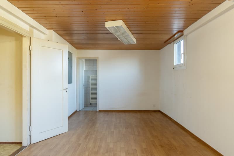 Wohnhaus mit grossem Gewerbe und viel Entwicklungspotenzial (10)