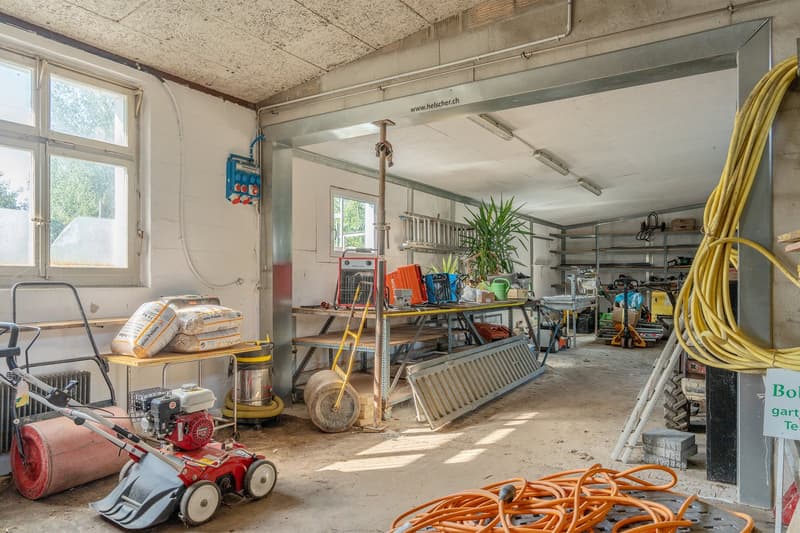 Wohnhaus mit grossem Gewerbe und viel Entwicklungspotenzial (12)