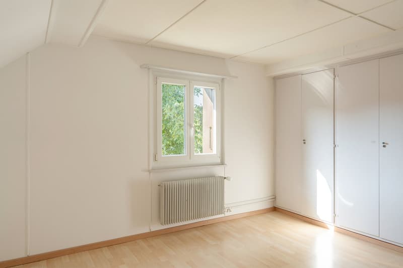 Wohnhaus mit grossem Gewerbe und viel Entwicklungspotenzial (9)