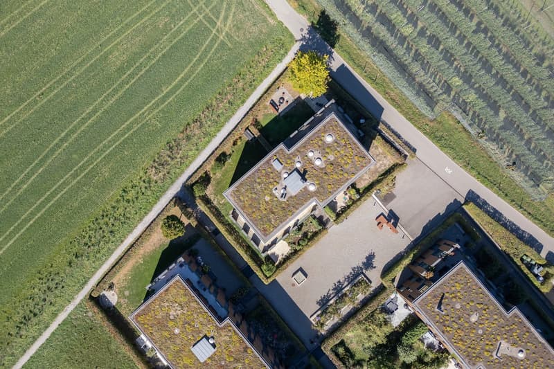 Minergie-Gartenwohnung: Hell, modern, exklusiv (2)