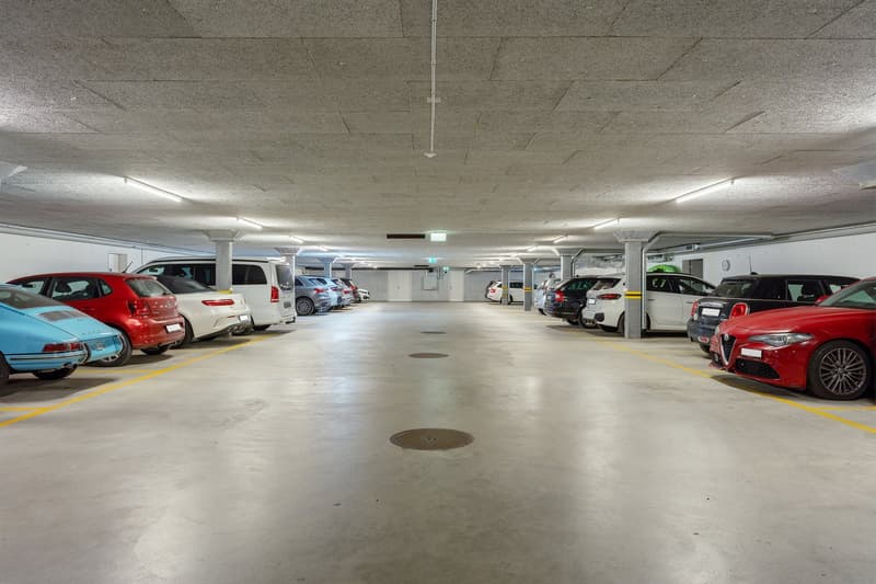 Moderne Gartenwohnung nahe Zentrum Muri (19)