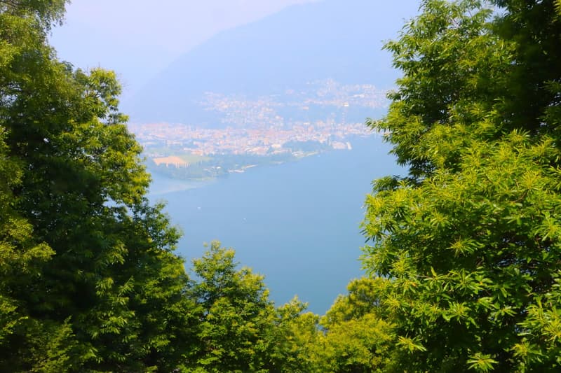 The image shows a scenic view of a lake or body of water surrounded by lush, green foliage. The trees and vegetation frame the view, creating a natural and serene setting. The water appears calm and reflects the blue sky, creating a picturesque landscape.