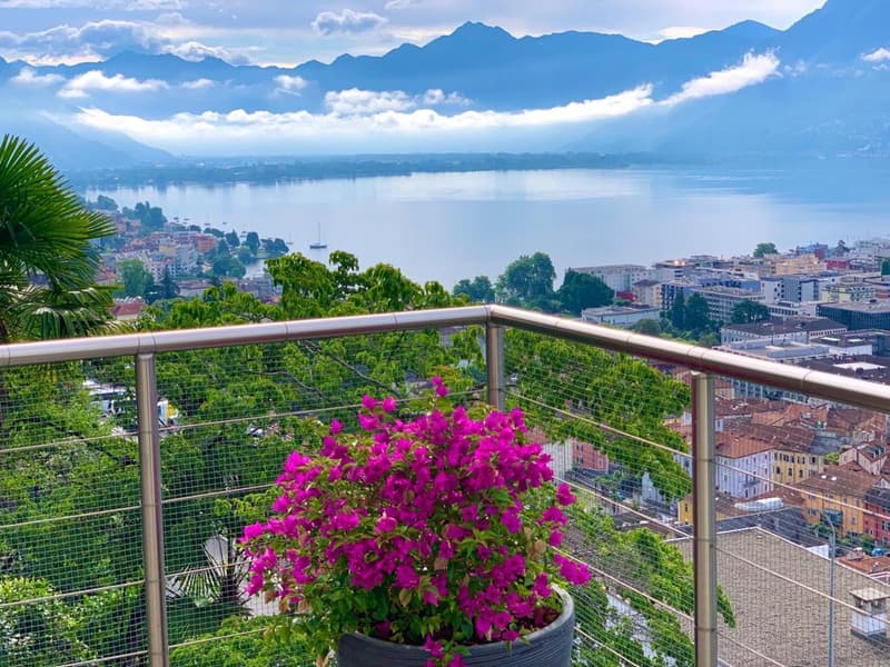 Metal railing, plants, city view, mountains, lake