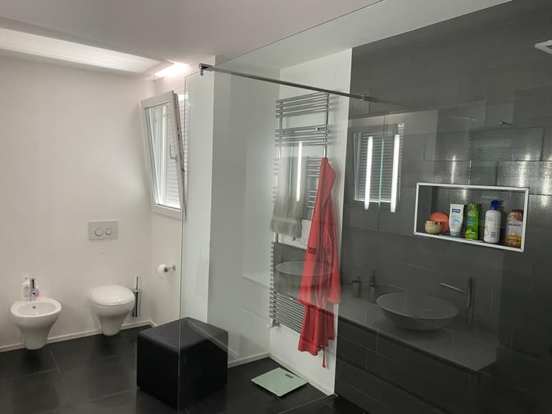 Modern bathroom with walk-in shower, a sink with mirror, and a toilet.