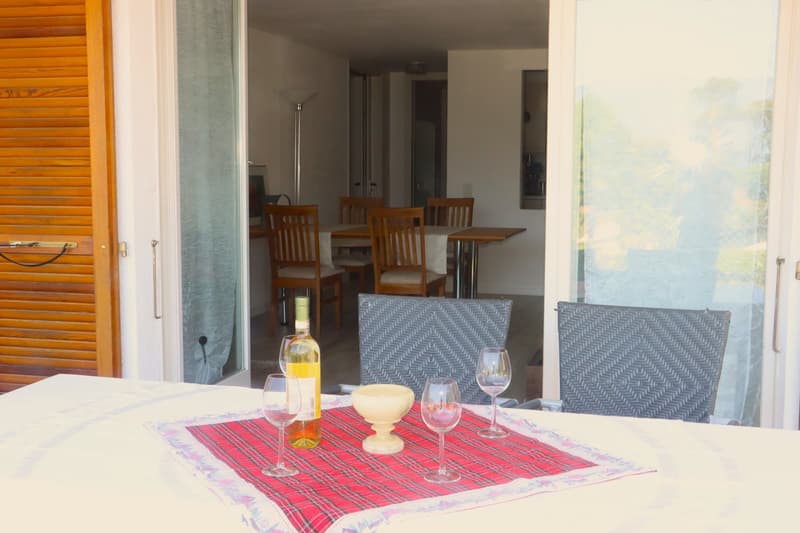 Ihre Ferienwohnung mit fantastischer Terrasse, Appartamento con vista lago (8)