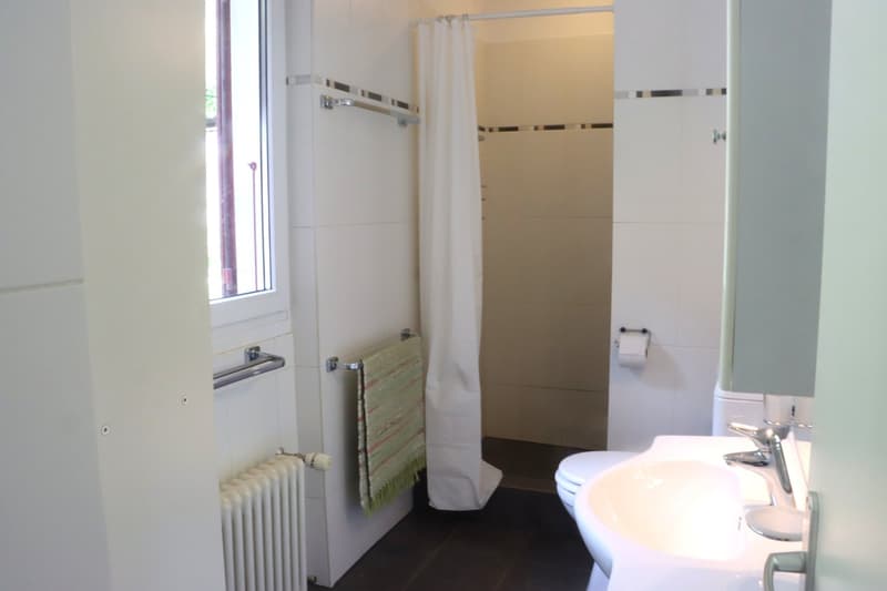 Über den Seen sonniges Zweifamilienhaus (10)