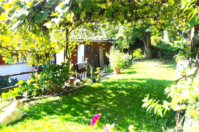 Über den Seen sonniges Zweifamilienhaus (18)