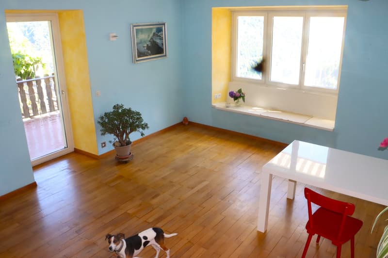 Charmantes Haus mit zwei Wohnungen fertig zum Einziehen (11)