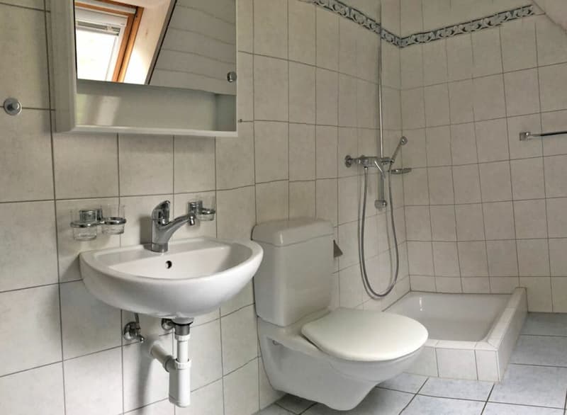 Dusche im DG und Bad mit WM/Tumbler im OG