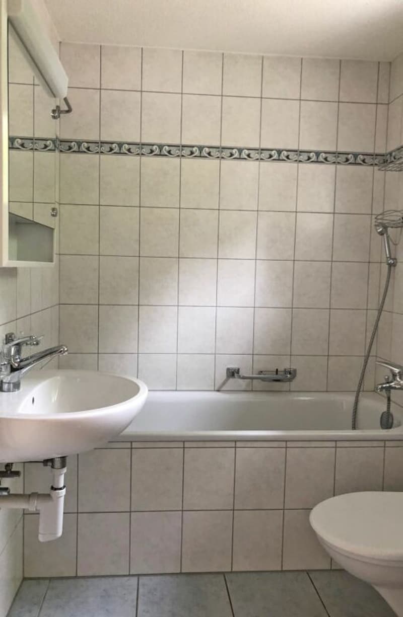 Rented Semi-Detached Corner House - RESERVED! (7)