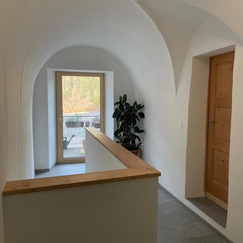 vaulted ceiling, balcony, floor, plant, wall, wooden door