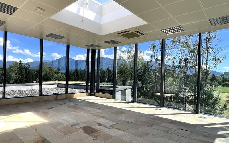 Betriebsliegenschaft in bester Lage in 6890 Lustenau/Vorarlberg/Österreich zu verkaufen (7)
