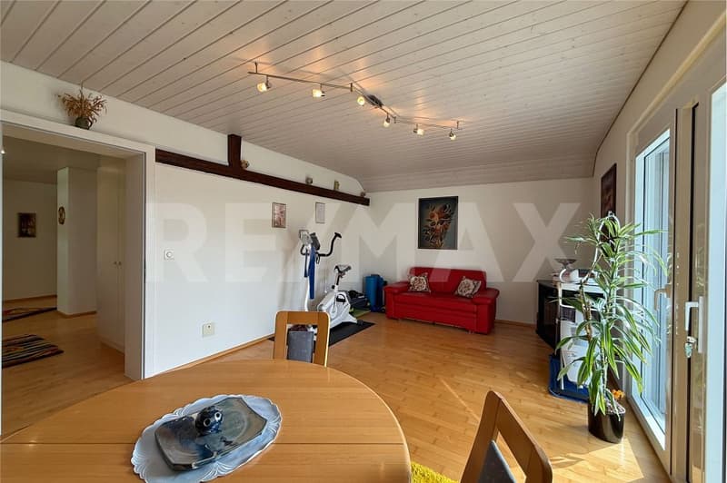 Well-maintained single-family house in a quiet neighborhood, ready to move in immediately (10)