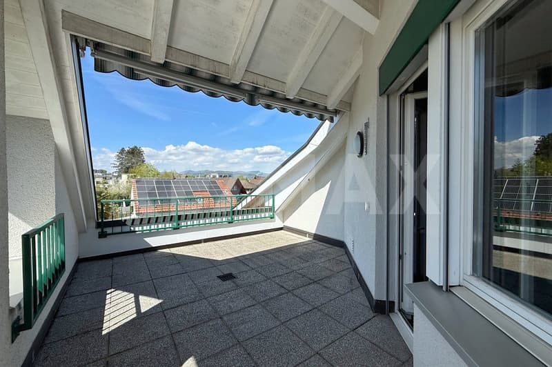 Appartement mansardé charmant avec cheminée et terrasse dans un quartier calme (8)