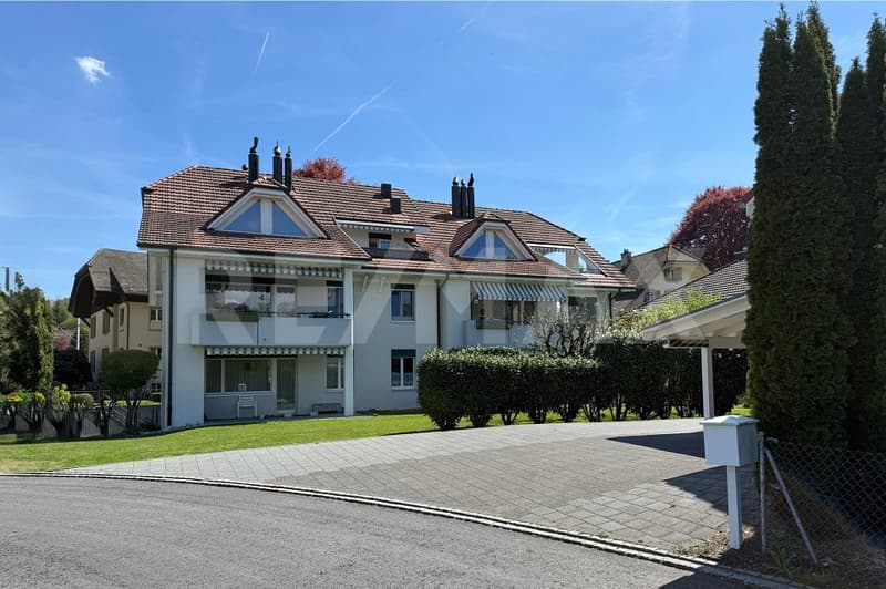 Appartement mansardé charmant avec cheminée et terrasse dans un quartier calme (1)