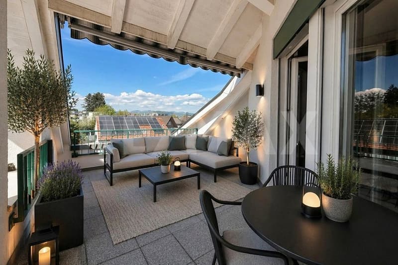Appartement mansardé charmant avec cheminée et terrasse dans un quartier calme (9)