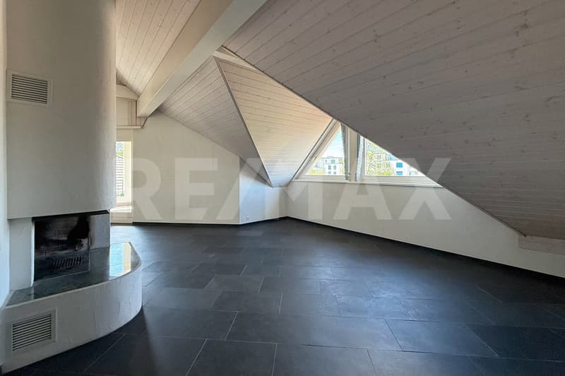 Appartement mansardé charmant avec cheminée et terrasse dans un quartier calme (3)