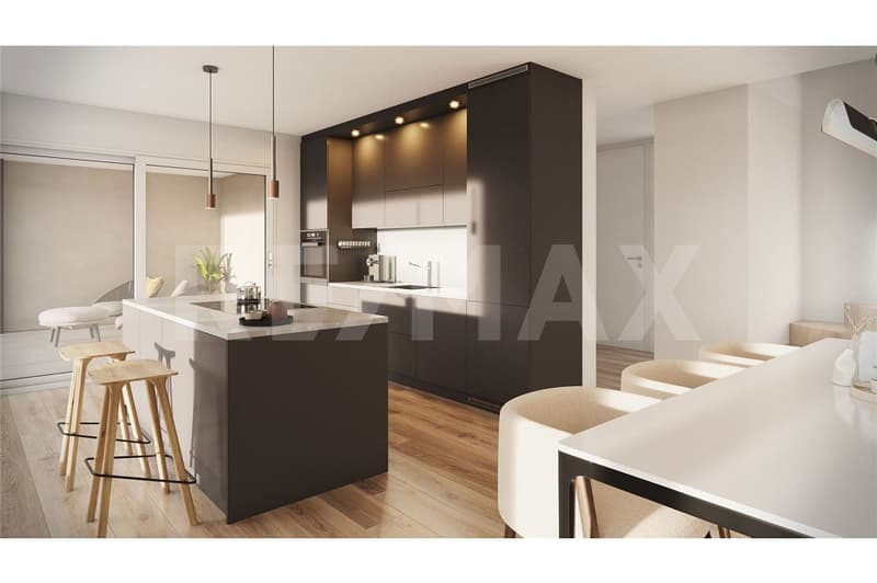 Maison individuelle Minergie exclusive (Maison 5) : avec vue panoramique, terrasse et construction durable (4)