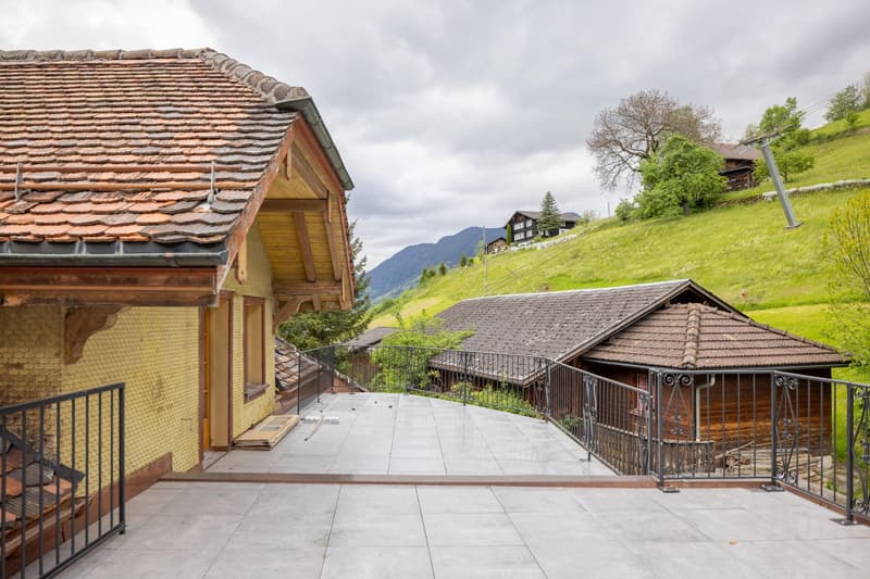 Two-story wooden houses with tiled roofs, surrounded by a grassy hill and trees. There is a paved terrace with railings in the foreground.