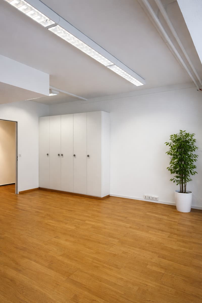 empty room, wooden floor, white walls, white cabinets, potted plant
