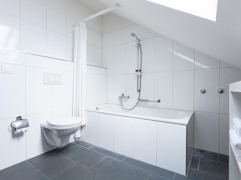 FOR IMMEDIATE RENTAL BEAUTIFUL FURNISHED 2.5-ROOM ATTIC APARTMENT !!!!!!!! (8)