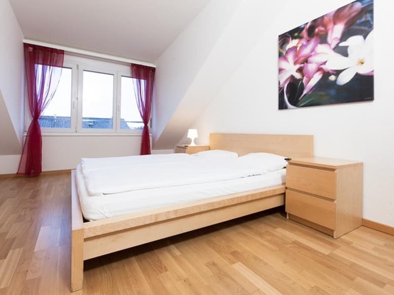 FOR IMMEDIATE RENTAL BEAUTIFUL FURNISHED 2.5-ROOM ATTIC APARTMENT !!!!!!!! (7)