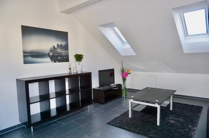 FOR IMMEDIATE RENTAL BEAUTIFUL FURNISHED 2.5-ROOM ATTIC APARTMENT !!!!!!!! (5)