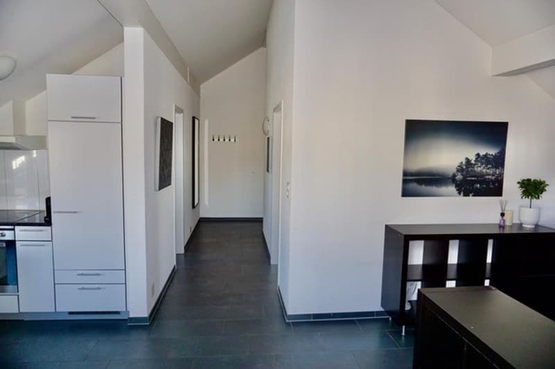 FOR IMMEDIATE RENTAL BEAUTIFUL FURNISHED 2.5-ROOM ATTIC APARTMENT !!!!!!!! (3)