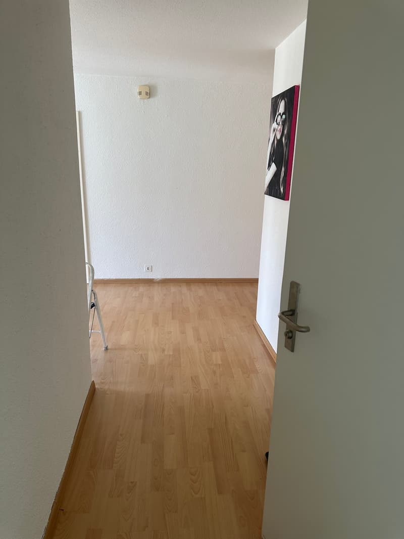 Helle 3-Zimmer-Wohnung mit Balkon in Wallisellen (8)