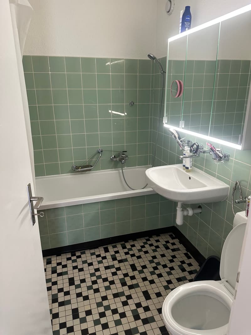 Helle 3-Zimmer-Wohnung mit Balkon in Wallisellen (4)
