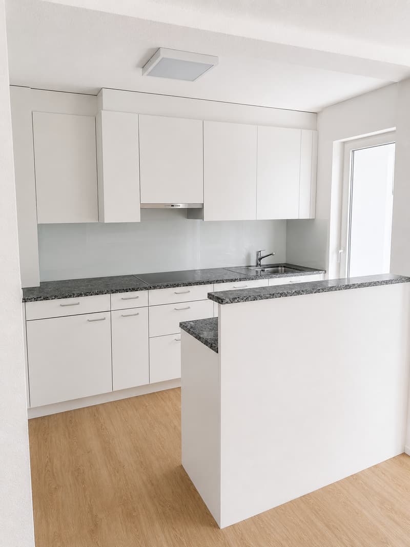 Bright 4.5-room apartment with glazed balcony (4)