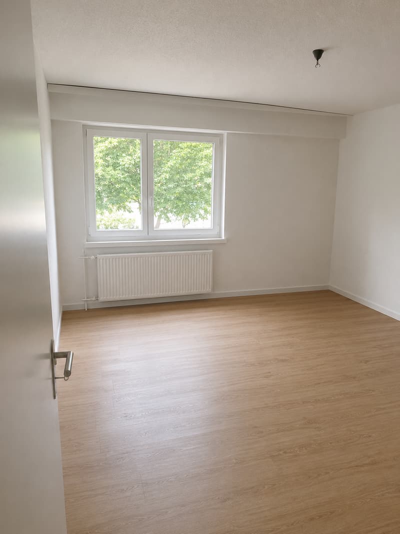 Bright 4.5-room apartment with glazed balcony (7)