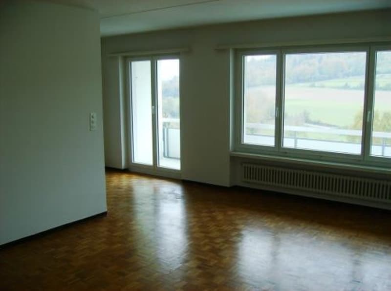 Spacious 2.5-room apartment on the 7th floor with great views. (2)