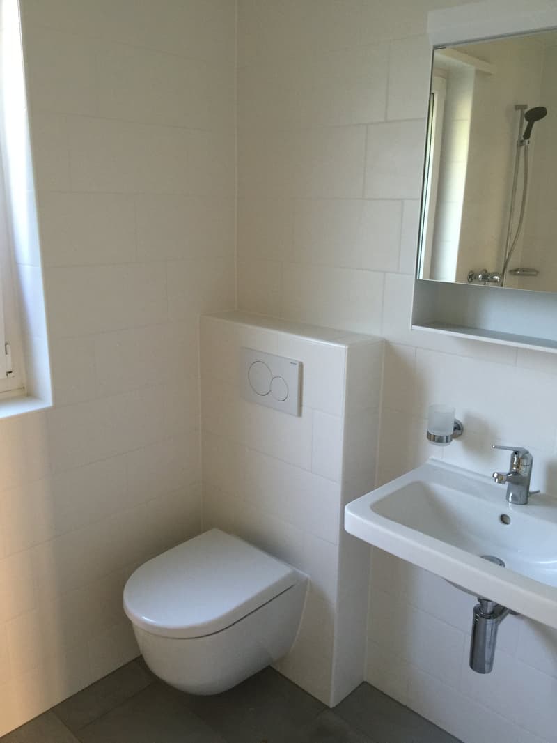 Charmante 3.5-Zimmer-Gartenwohnung in Zürich-Höngg (6)